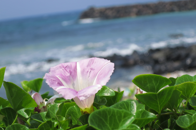 f:id:fufufuholdings:20140513105802j:image