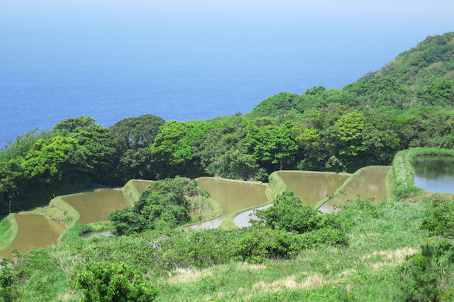 f:id:fufufuholdings:20140513132408j:image