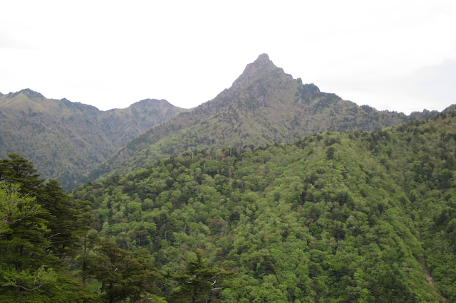f:id:fufufuholdings:20150514091516j:image