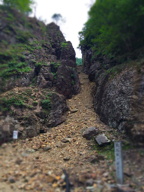 f:id:fufufuholdings:20170703190351j:image
