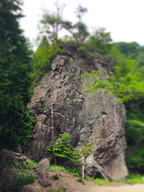 f:id:fufufuholdings:20170703190358j:image