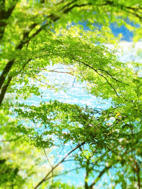 f:id:fufufuholdings:20190507193315j:plain