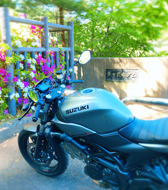 f:id:fufufuholdings:20190507193356j:plain
