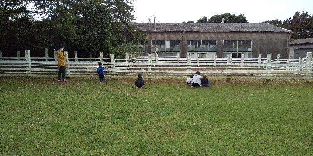 f:id:fufulog:20210928230004j:image