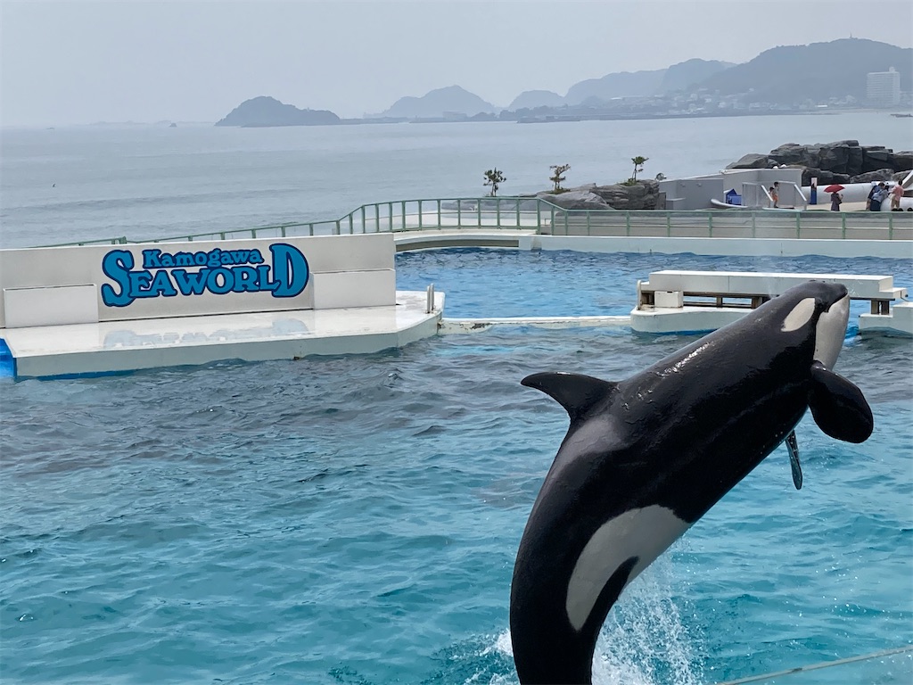 f:id:fufulog:20220904224257j:image