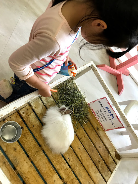 f:id:fufumama:20190502165110j:plain f:id:fufumama:20190502165110j:plain