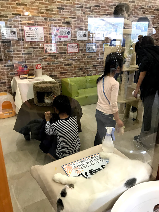 f:id:fufumama:20190502165123j:plain f:id:fufumama:20190502165123j:plain
