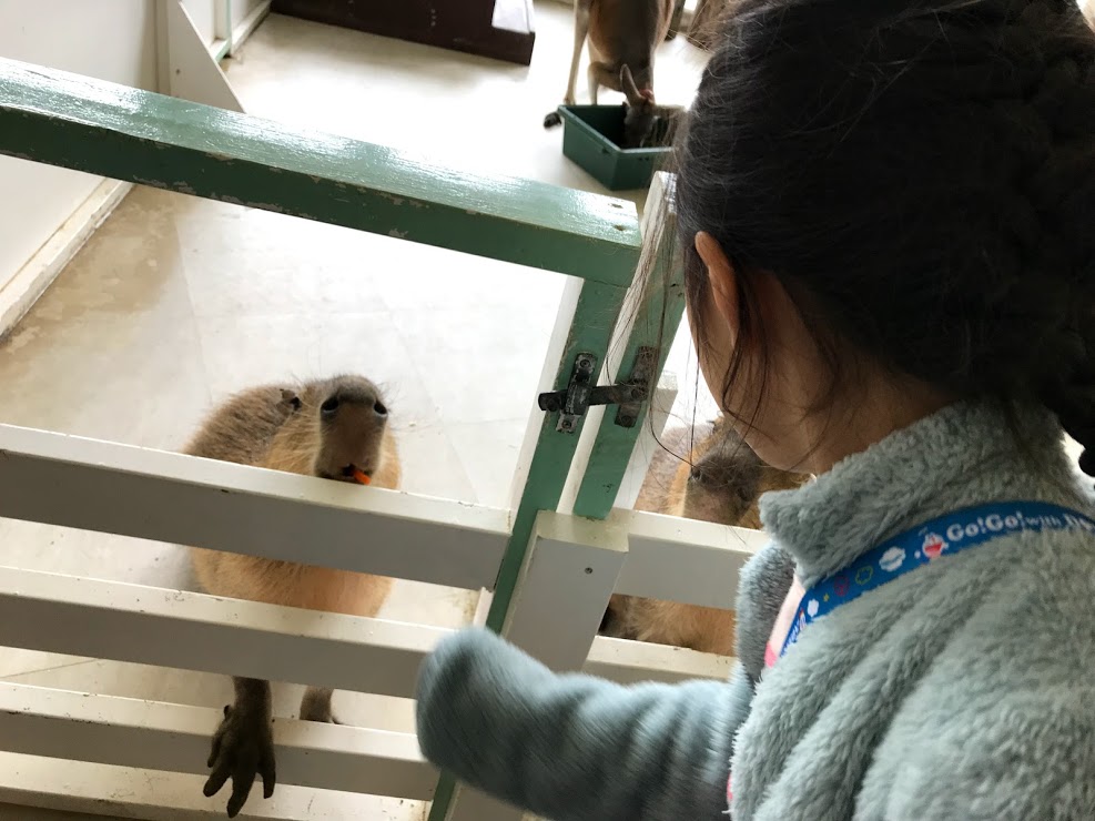 f:id:fufumama:20190502165442j:plain f:id:fufumama:20190502165442j:plain