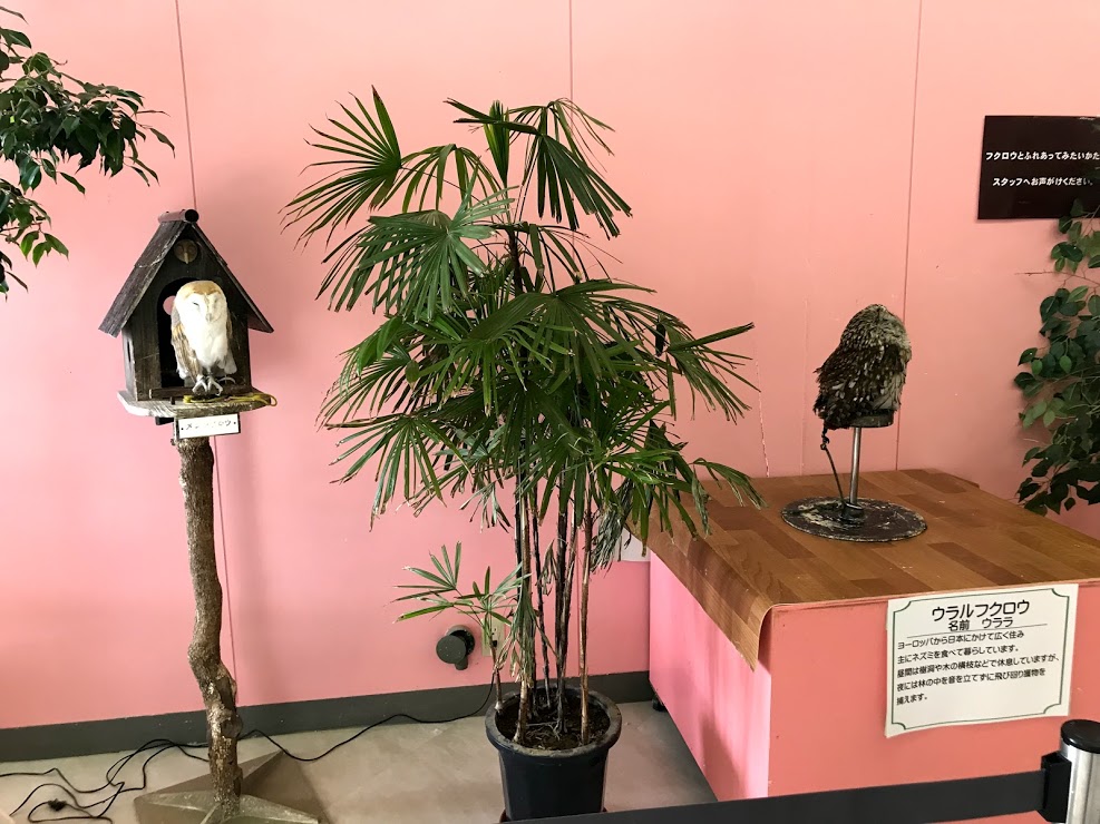 f:id:fufumama:20190502165455j:plain f:id:fufumama:20190502165455j:plain