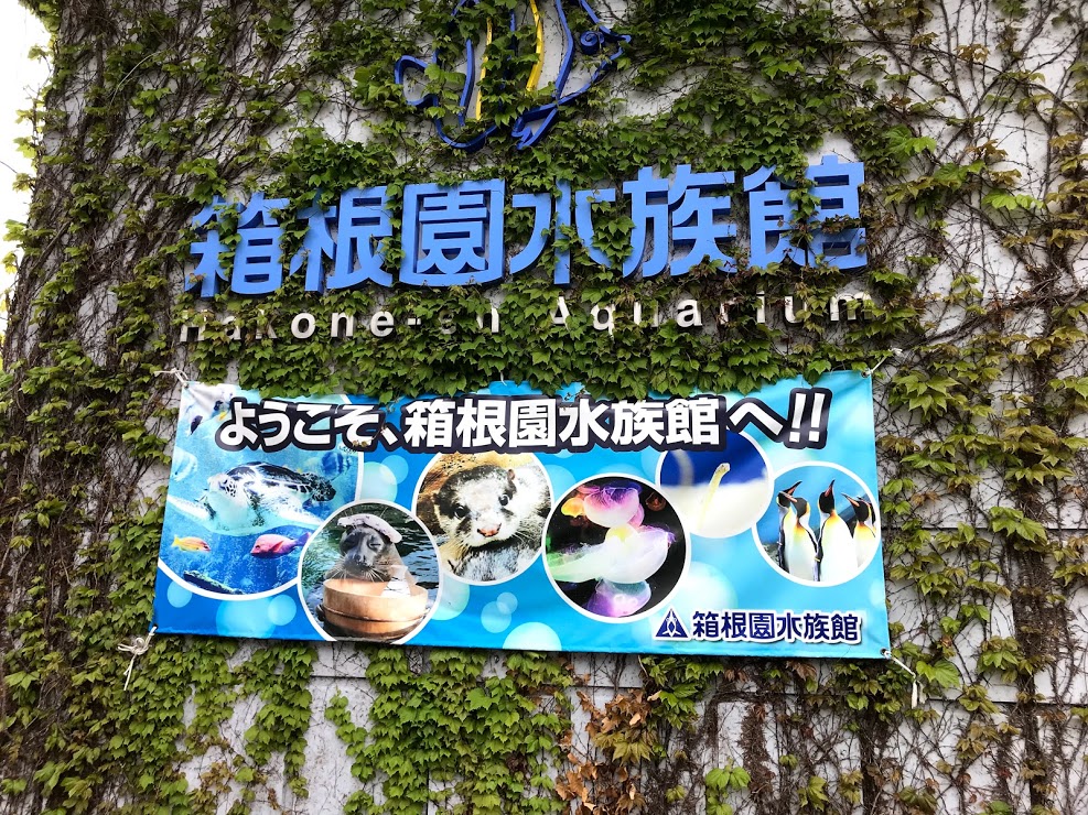 f:id:fufumama:20190502165846j:plain f:id:fufumama:20190502165846j:plain