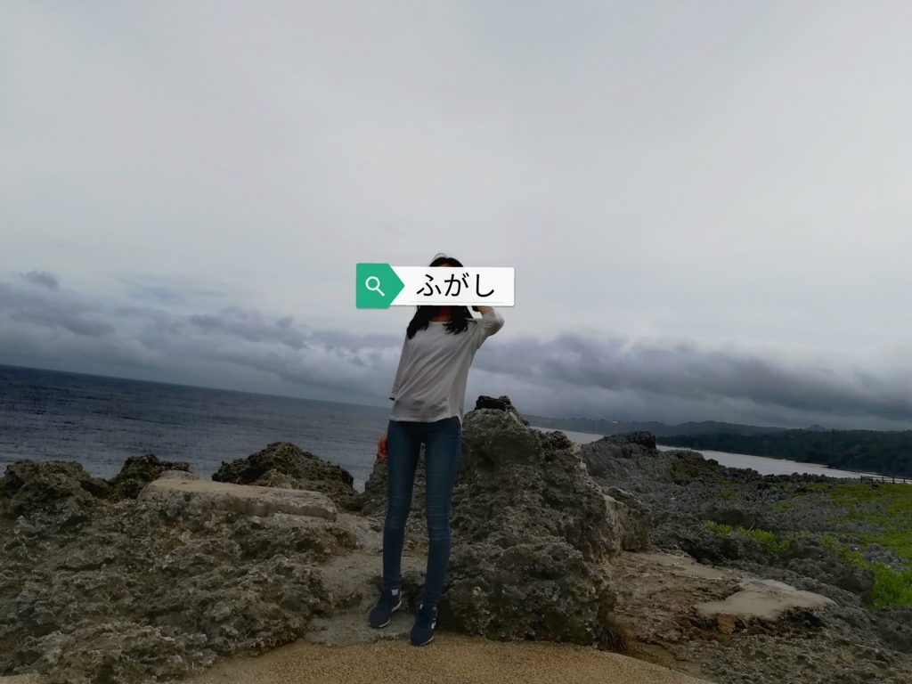 f:id:fugashi170:20180425020314j:plain