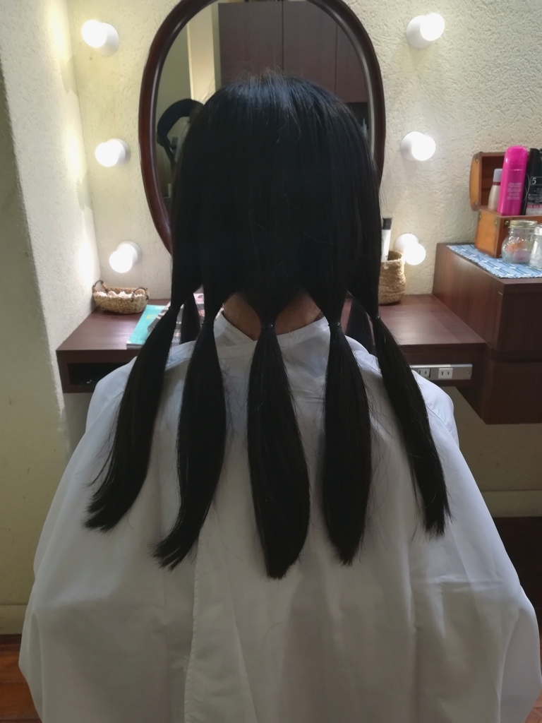 f:id:fugashi170:20180518191548j:plain