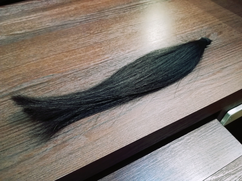 f:id:fugashi170:20180518191954j:plain