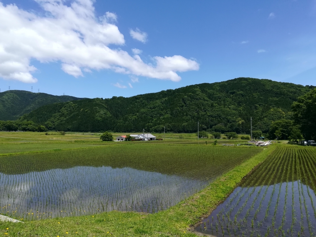 f:id:fugashi170:20180619003951j:plain