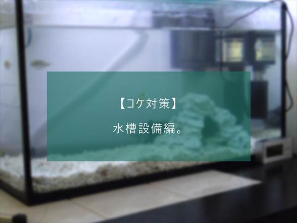 f:id:fugu-ya:20171124154412j:plain