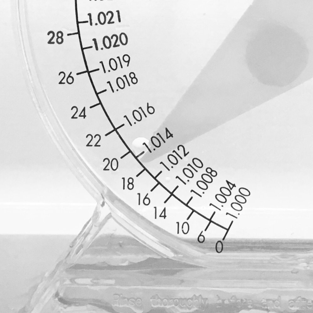 f:id:fugu-ya:20190113181126j:image