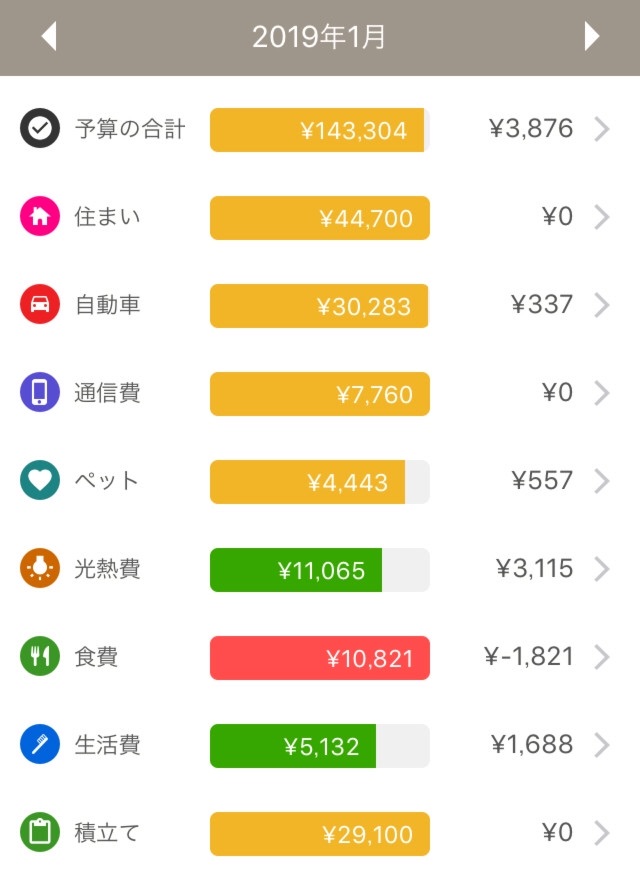 一人暮らしOLの家計簿、2019年1月の支出額は143,304円