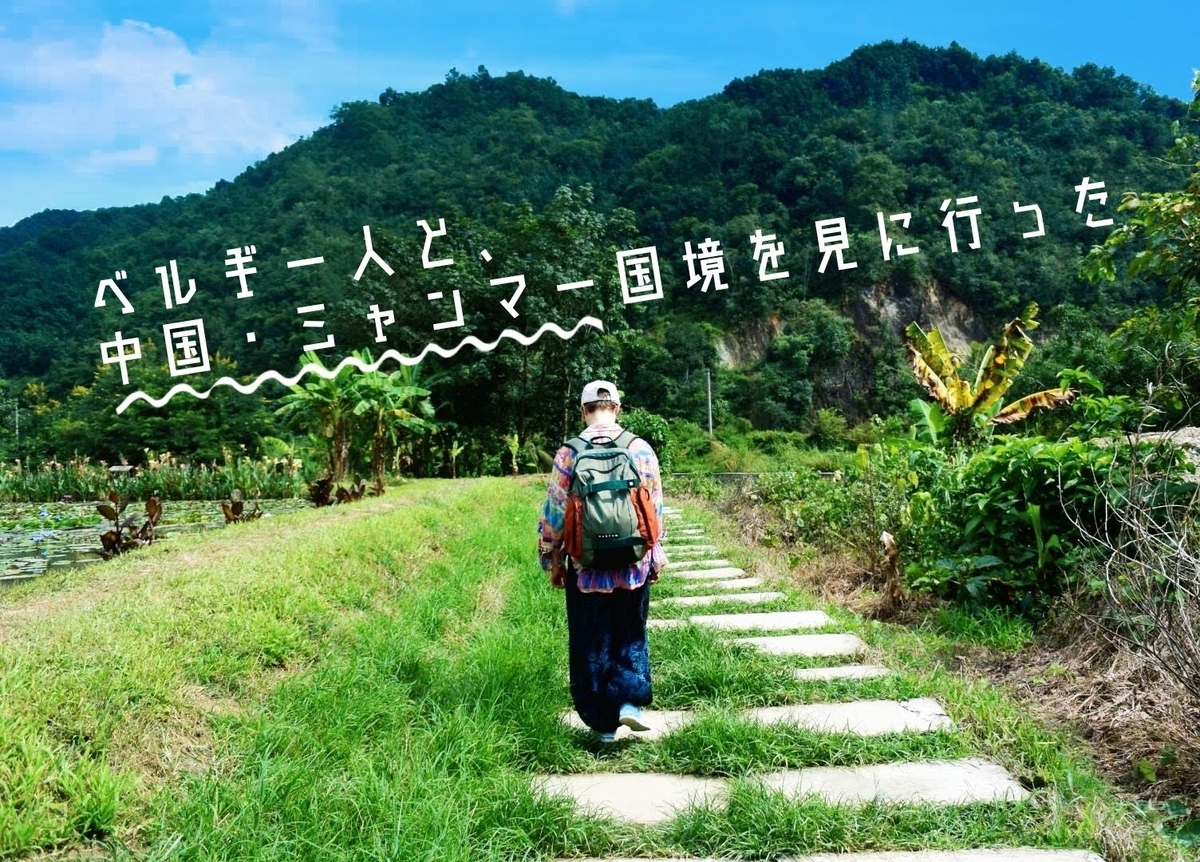 f:id:fugu0202:20201129225520j:plain