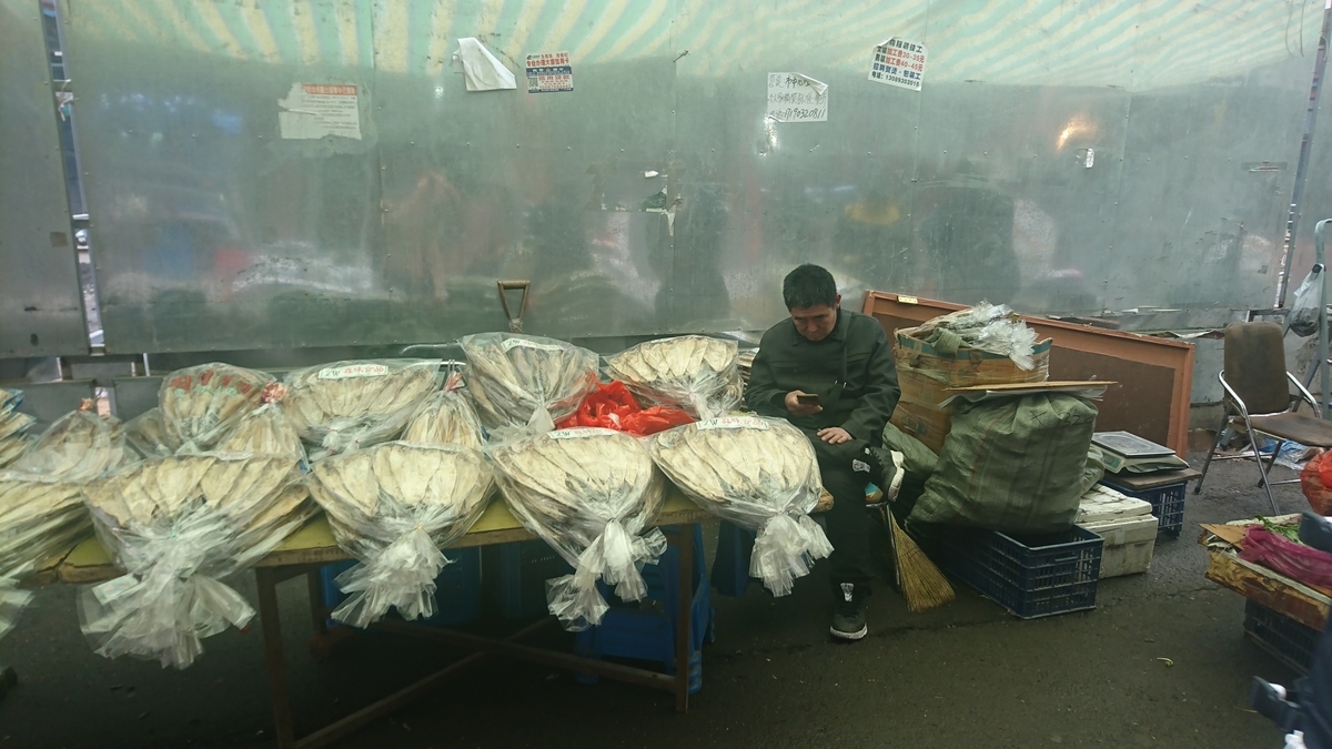 f:id:fugu0202:20210110210219j:plain
