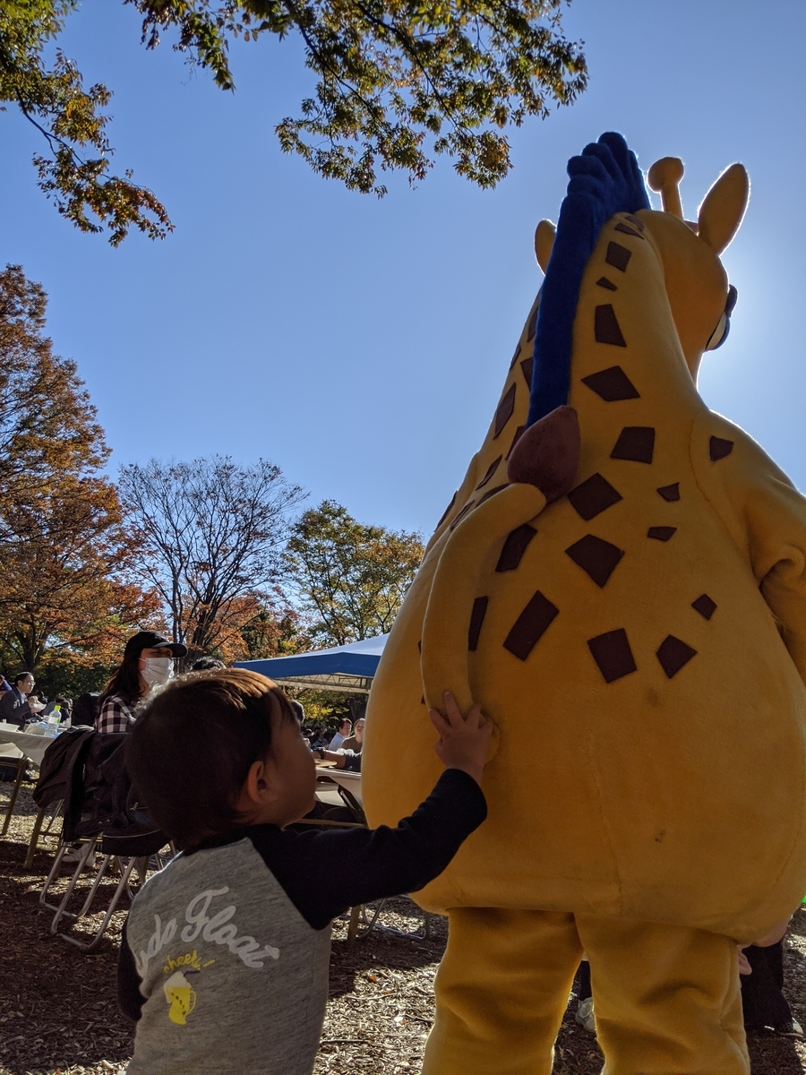 f:id:fugufugufugu:20191116224100j:plain f:id:fugufugufugu:20191116224100j:plain