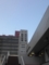 森永製菓本社
