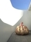 20181006170334