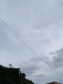 20251108235203