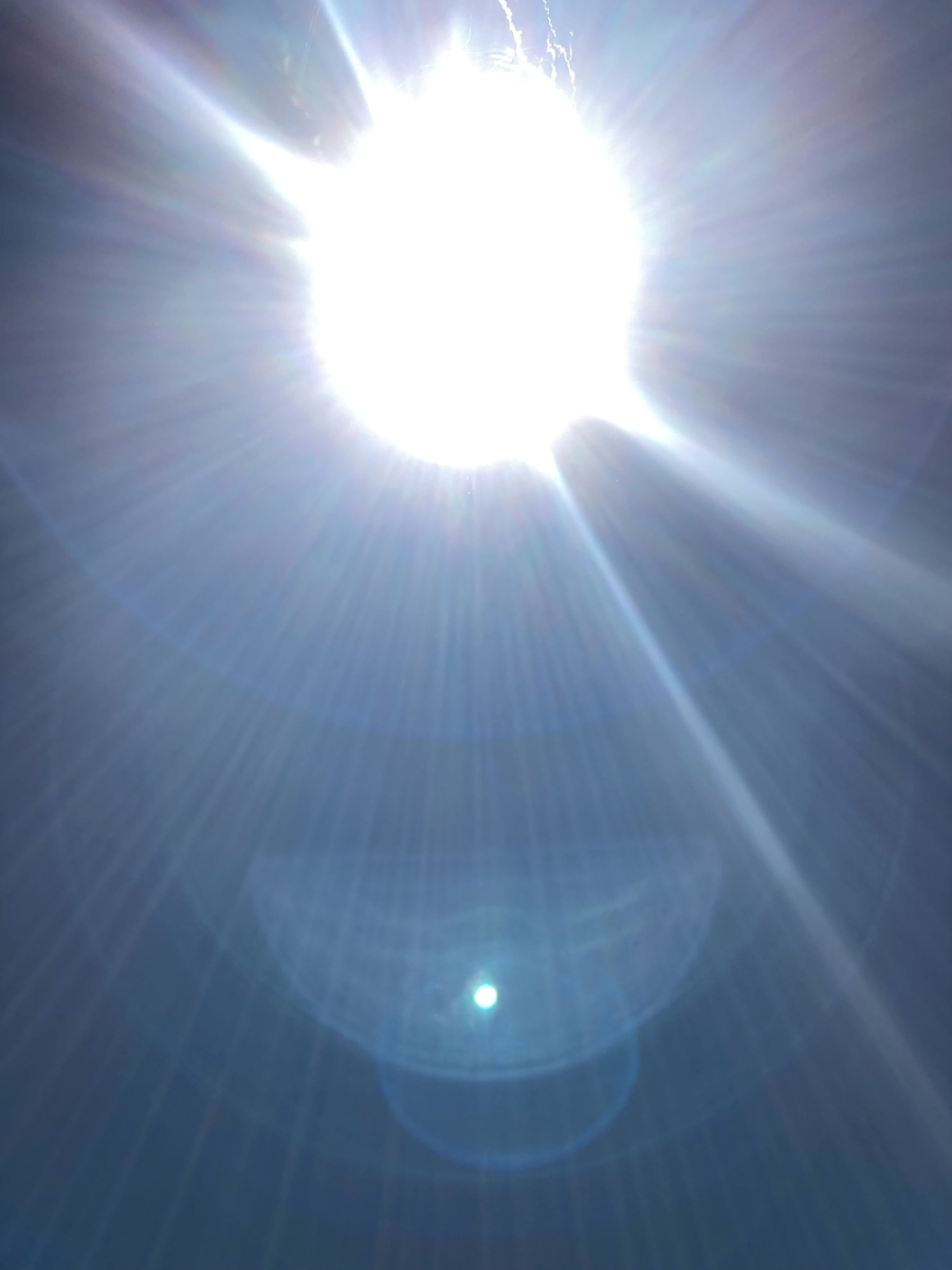 f:id:fuhgetsu:20210622122044j:plain