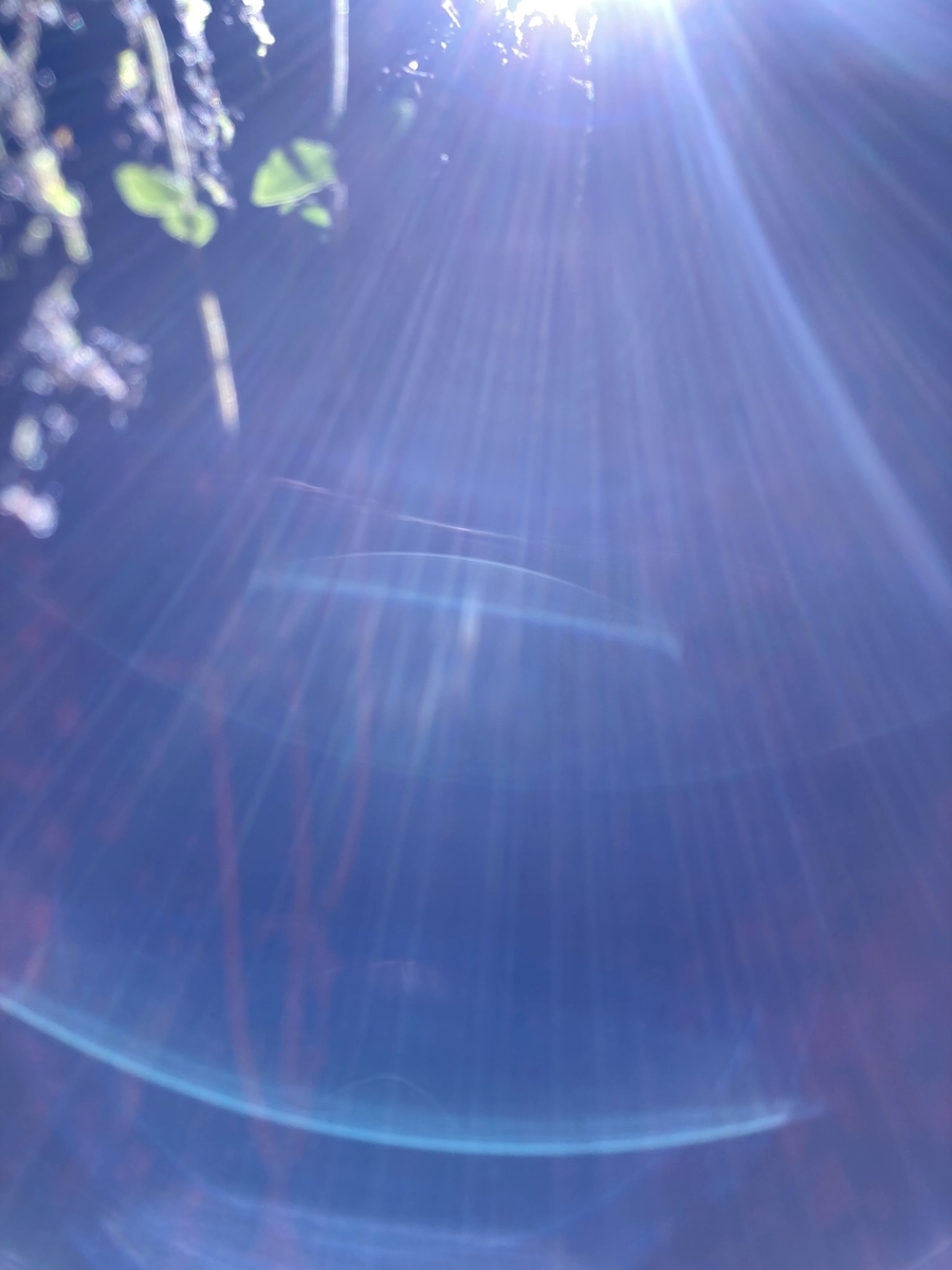 f:id:fuhgetsu:20210622122118j:plain