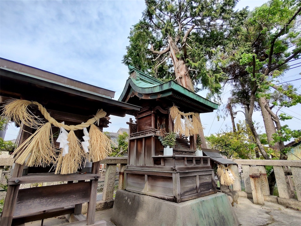 f:id:fuhgetsu:20240422135346j:image