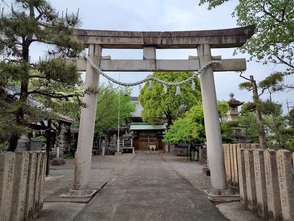 f:id:fuhgetsu:20240422140152j:image