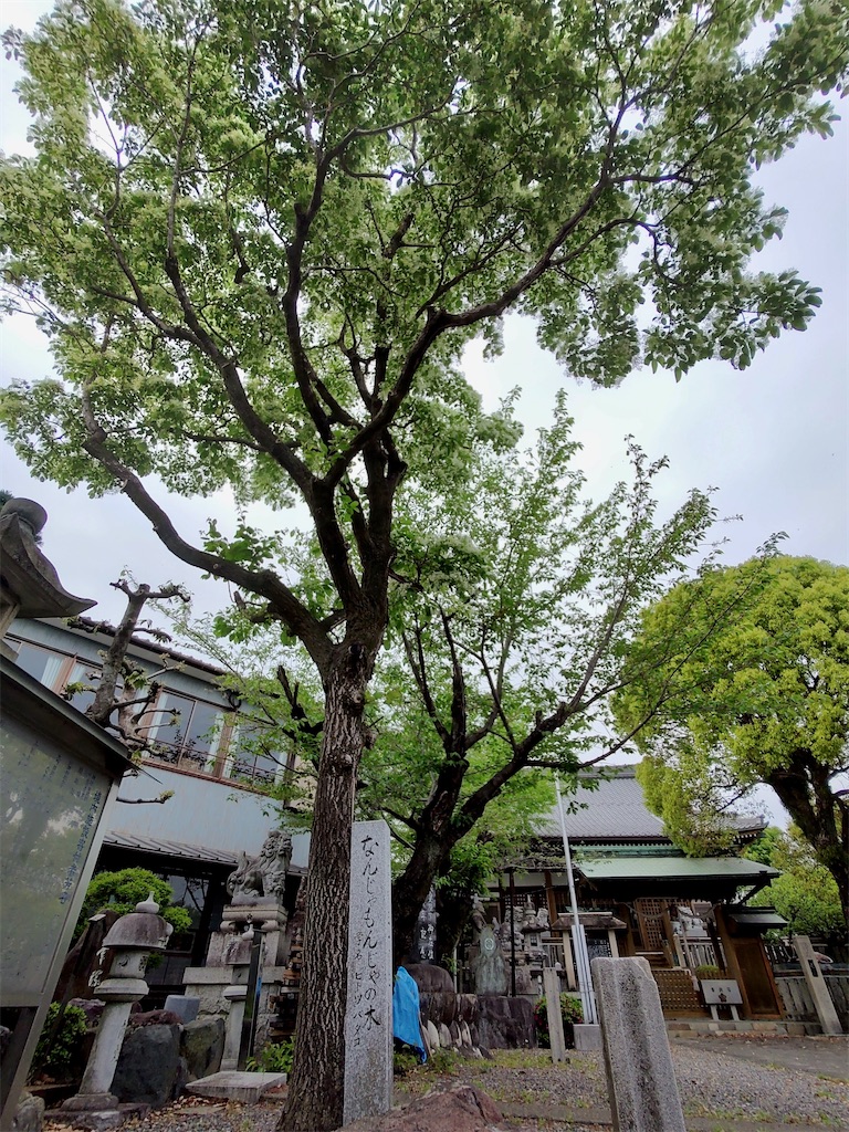 f:id:fuhgetsu:20240422140413j:image