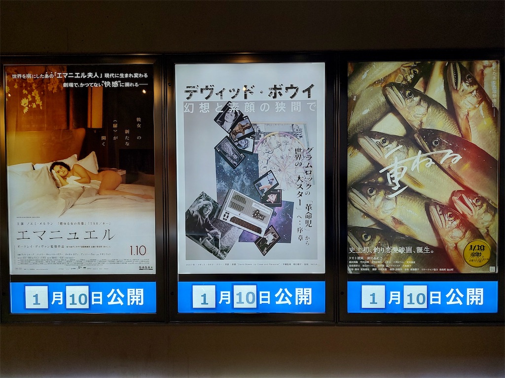 f:id:fuhgetsu:20250105203434j:image