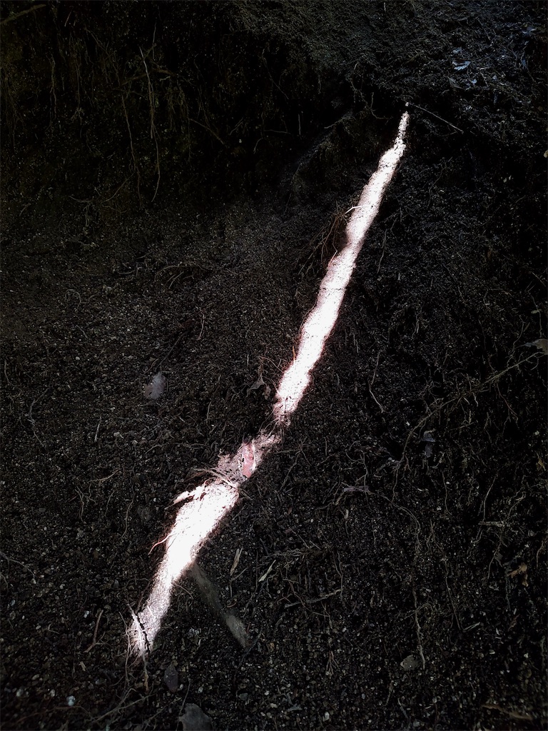f:id:fuhgetsu:20260330201455j:image