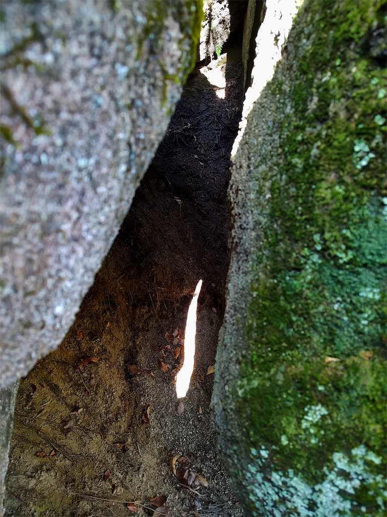 f:id:fuhgetsu:20260330201501j:image