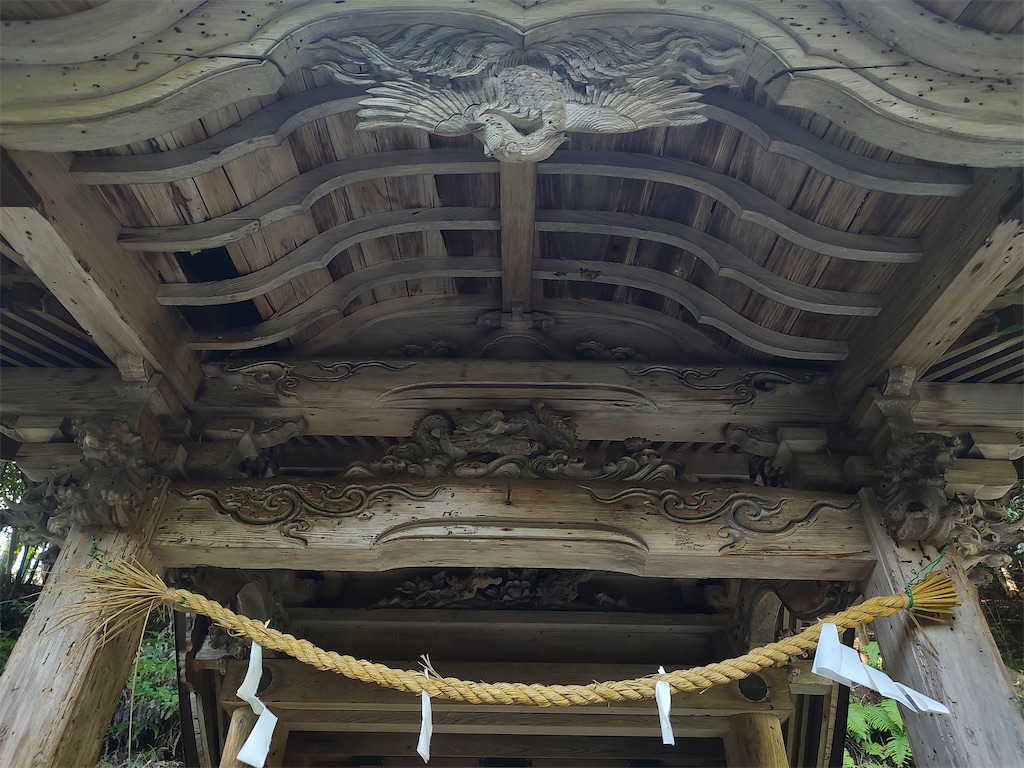 f:id:fuhgetsu:20260808003131j:image f:id:fuhgetsu:20260808003131j:image