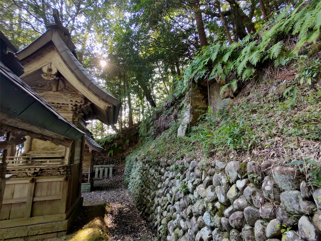 f:id:fuhgetsu:20260808003207j:image f:id:fuhgetsu:20260808003207j:image