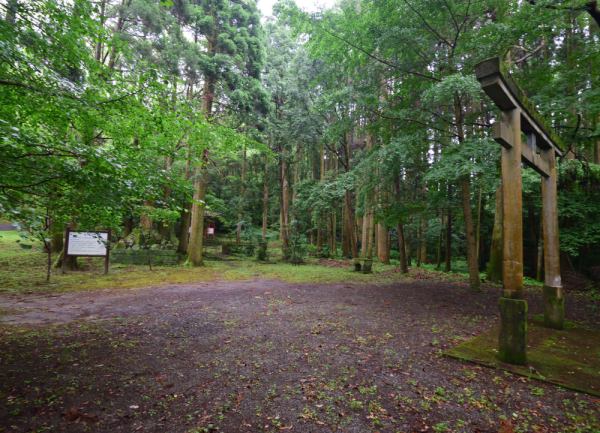 苔むした神社の境内