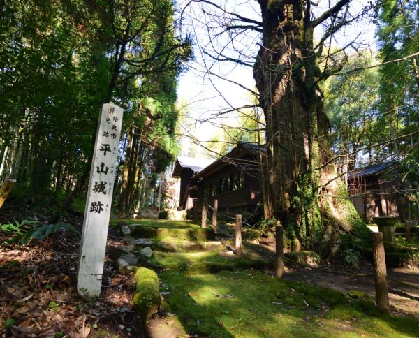 苔むした神社に白い標柱と大銀杏がある