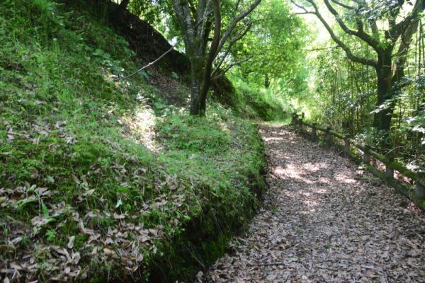 山城の雰囲気が残る遊歩道