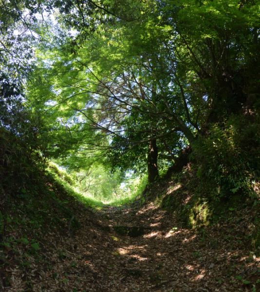 空堀の痕跡がしっかり残る