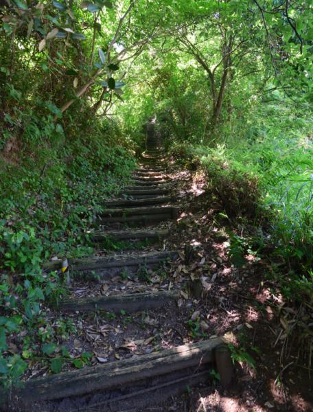 長い階段を登って山上へ