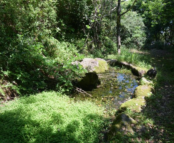 山中に池がある