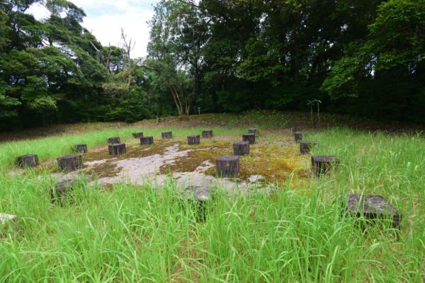 建物跡の柱を示す