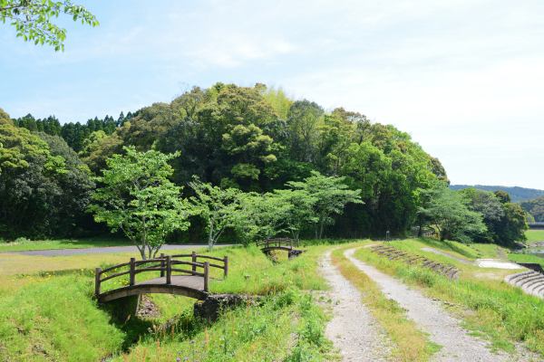 草に覆われた川原から木が茂る山城跡を見上げる