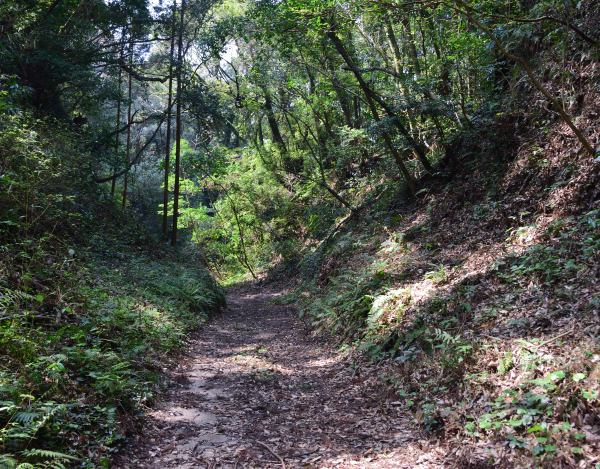 長くて深い大空堀