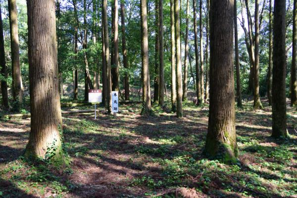 山中の曲輪、「本丸跡」看板もある