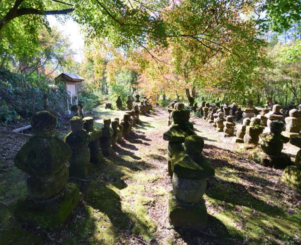 木々に囲まれた石塔群