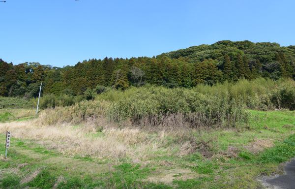 緑に覆われた山城跡