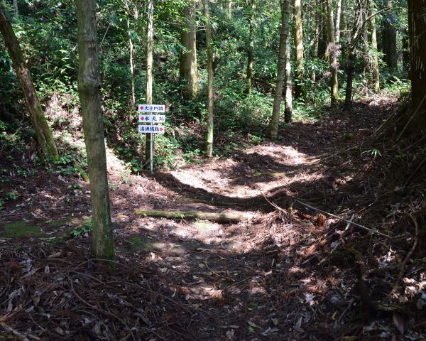 森の中に入る、道は二又に分かれる、案内板あり